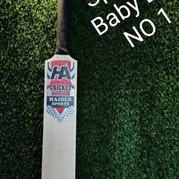 Baby bat